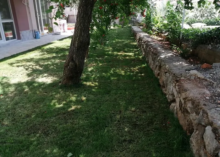 לינה וארוחת בוקר Bella Rose *